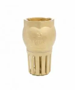 RỌ BƠM ĐỒNG DN21-DN114